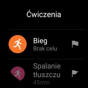 huawei watch 2 screen 15