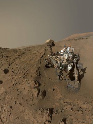 Curiosity selfie mini