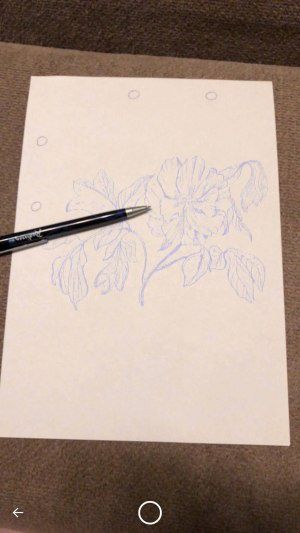 iPhone 8 Plus arkit sketchar