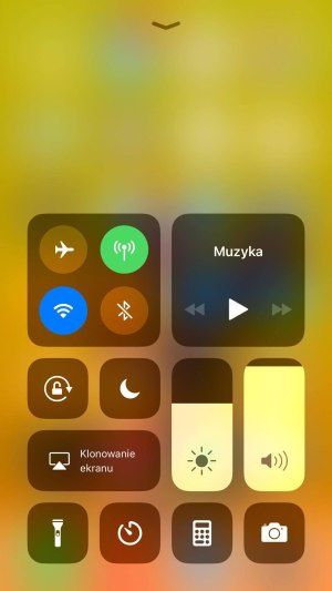 iPhone 8 Plus control center 1