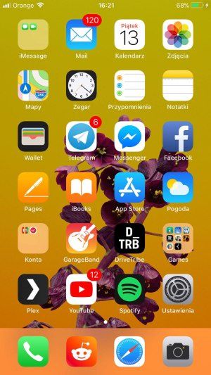 iPhone 8 Plus interfejs