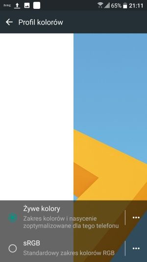 HTC 10 ekran profil kolorów