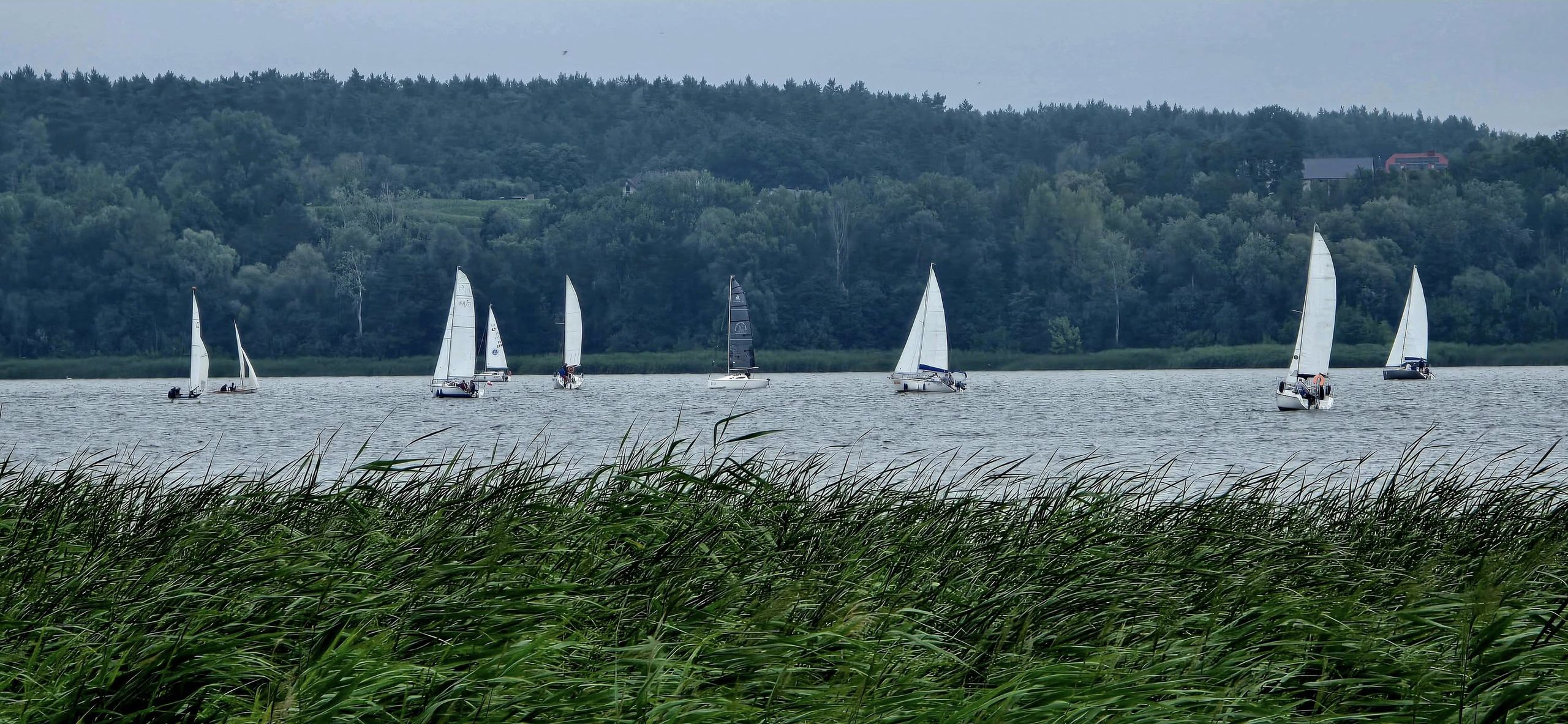 Regaty w Nowym Duninowie