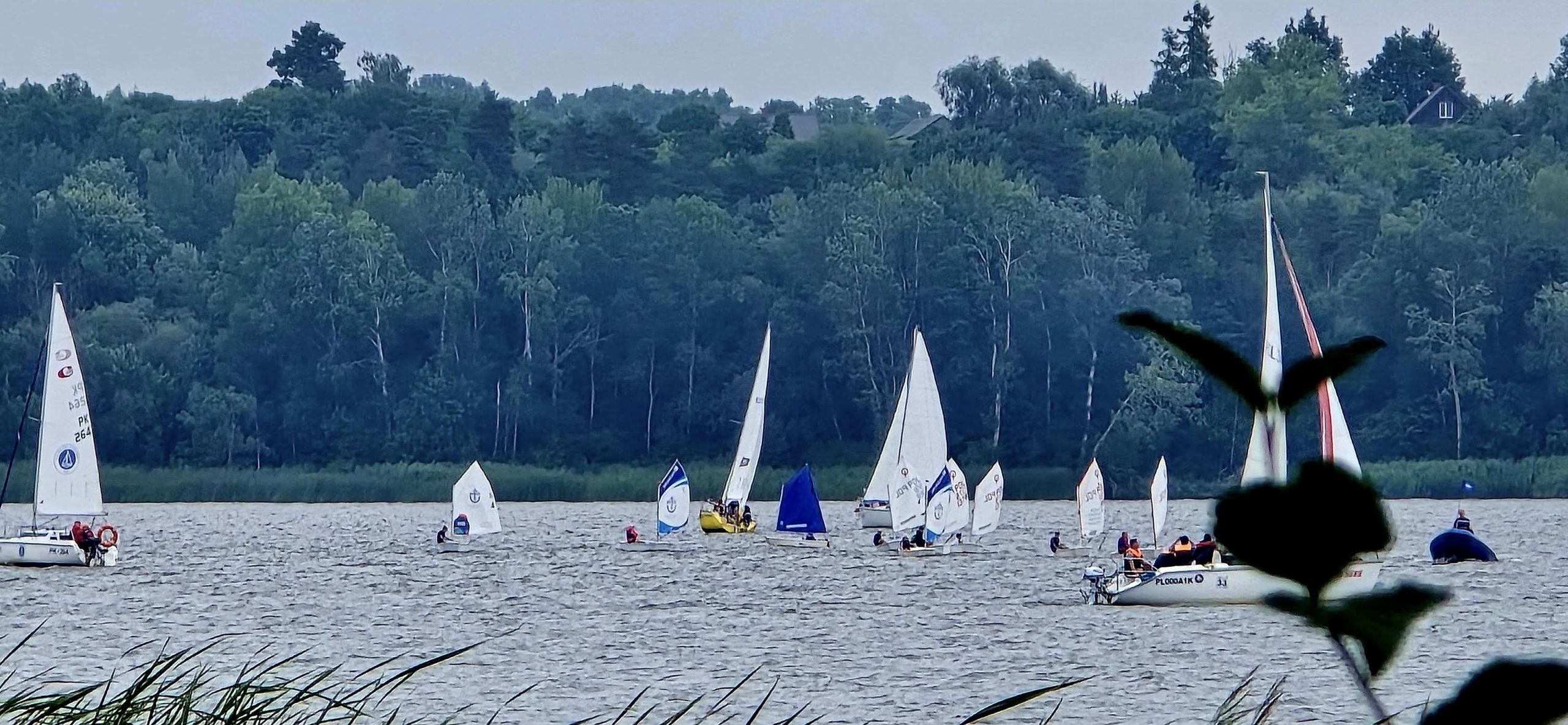 Regaty w Nowym Duninowie