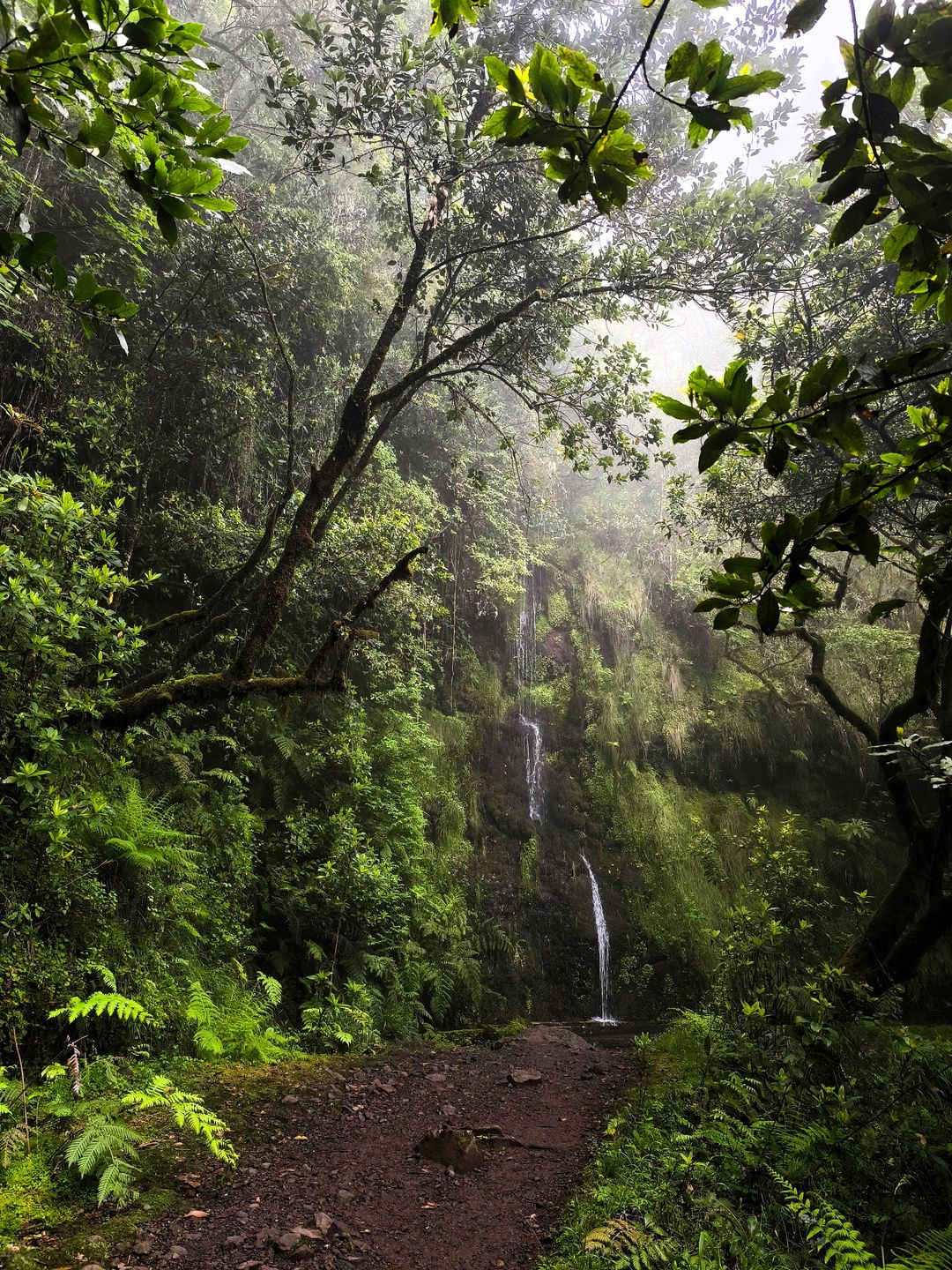 Levada do Furado