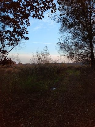 Motorola One bez HDR
