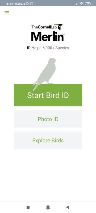 BirdID ekran wejściowy