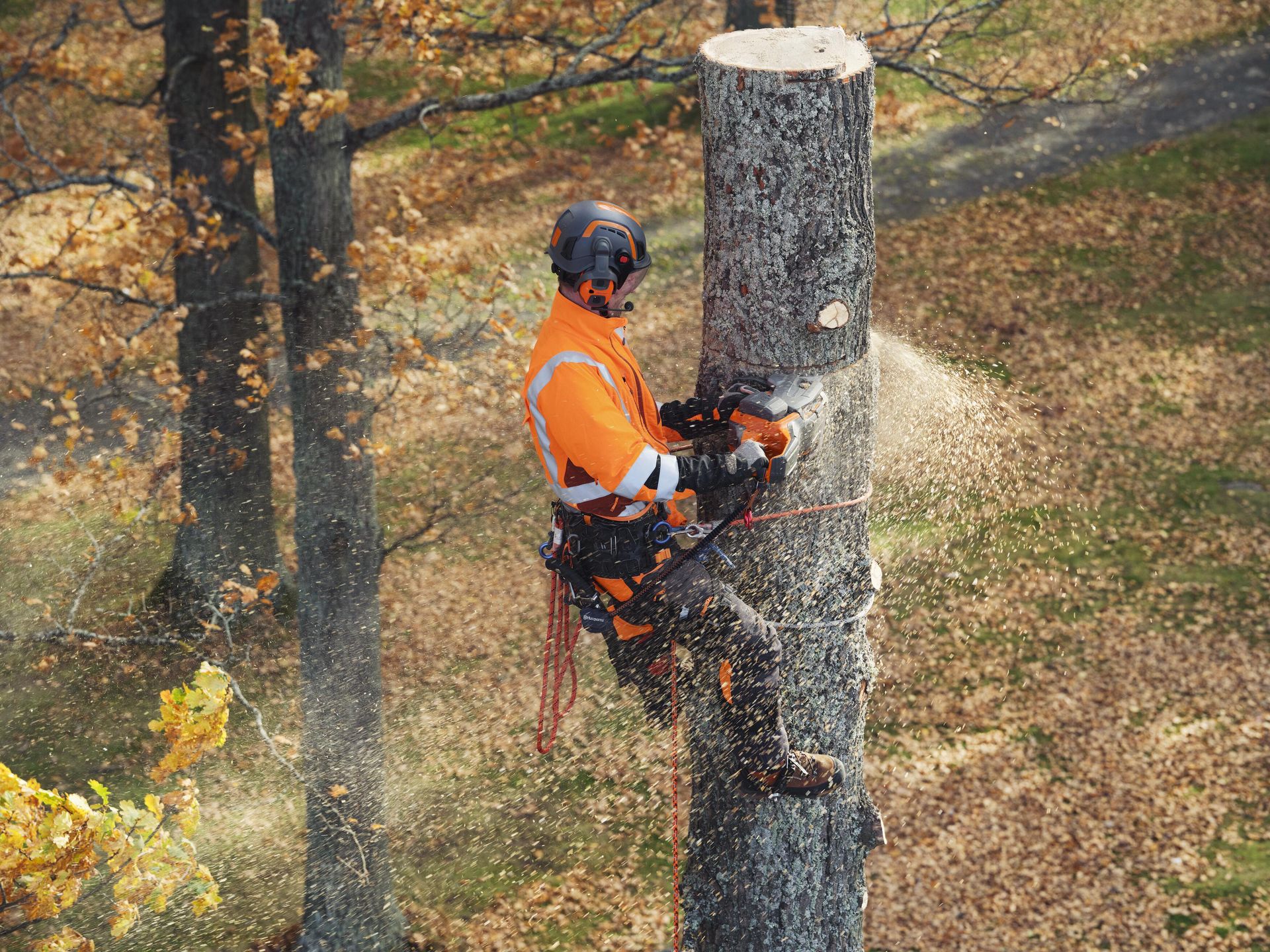 Husqvarna 550i XP