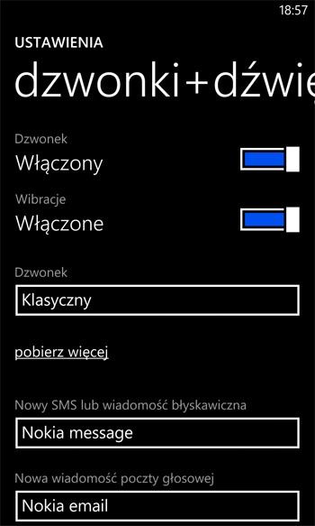Ustawienia telefonu z WP8