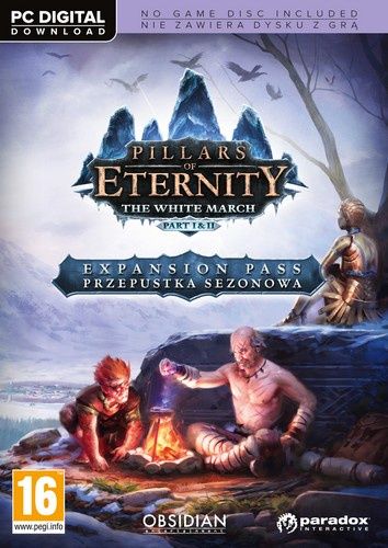 Pillars of Eternity pakiet okładka