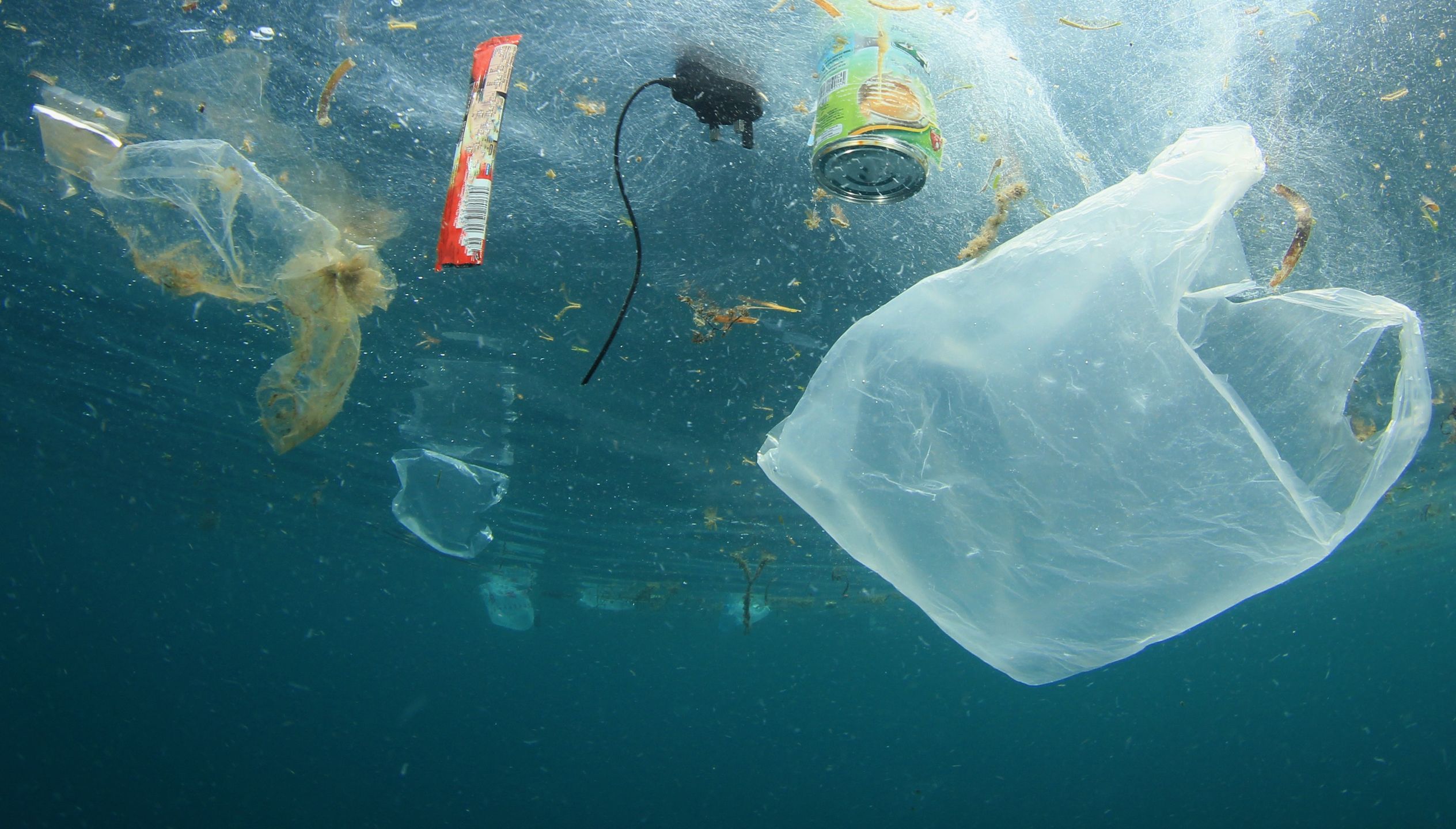 W procesie rozkładu plastikowych butelek powstaje szkodliwy mikroplastik. 