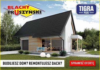 EXTFC_249 Blachy Pruszyński