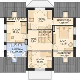 Poddasze projektu - APS 187