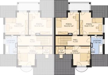 Poddasze projektu - APS 107