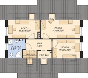 Poddasze projektu - APS 205