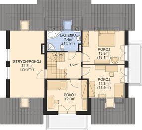 Poddasze projektu - APS 234