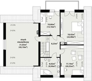 Poddasze projektu - Dora 2