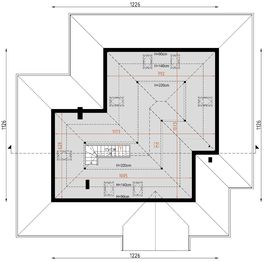 Poddasze projektu - D205