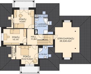Poddasze projektu - APS 119 + P