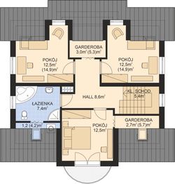 Poddasze projektu - APS 206
