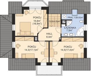 Poddasze projektu - APS 142
