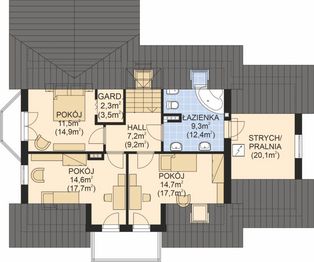 Poddasze projektu - APS 248