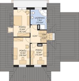 Poddasze projektu - APS 227