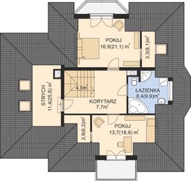 Poddasze projektu - APS 160