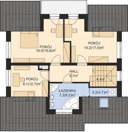 Poddasze projektu - APS 165