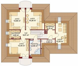 Poddasze projektu - Dandys 2