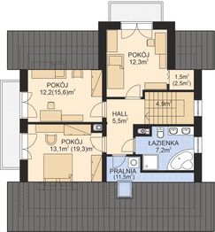 Poddasze projektu - APS 004 NEW