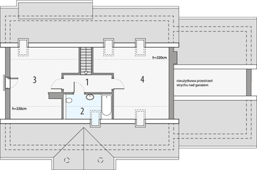 Poddasze projektu - Sielanka 100 2a2g