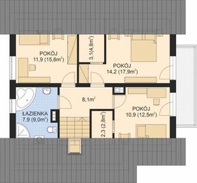 Poddasze projektu - APS 286