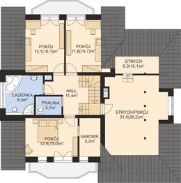 Poddasze projektu - APS 101 NEW