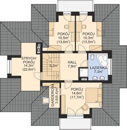 Poddasze projektu - APS 148 NEW