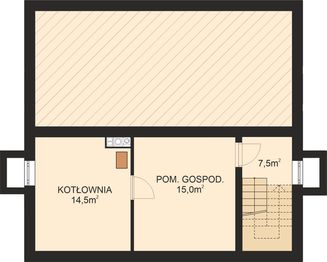 Piwnica projektu - APS 196 NEW