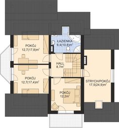 Poddasze projektu - APS 161 NEW
