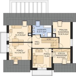 Poddasze projektu - APS 289w3