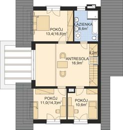 Poddasze projektu - APS 318