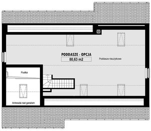 Poddasze projektu - E-243b