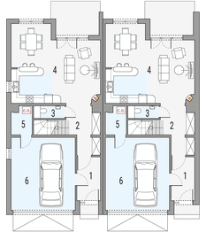 Parter projektu - Imbir - bliźniak LP