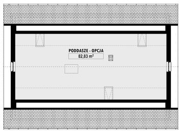 Poddasze projektu - E-274a