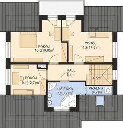 Poddasze projektu - APS 165 NEW