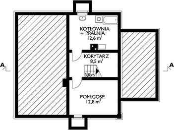 Piwnica projektu - Lubczyk (425)