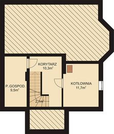 Piwnica projektu - APS 009