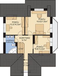 Poddasze projektu - APS 009