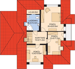Poddasze projektu - APS 010