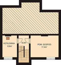 Piwnica projektu - APS 008