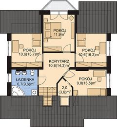 Poddasze projektu - APS 008