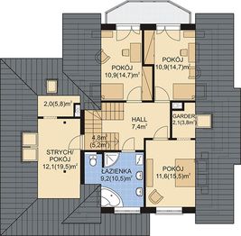 Poddasze projektu - APS 176